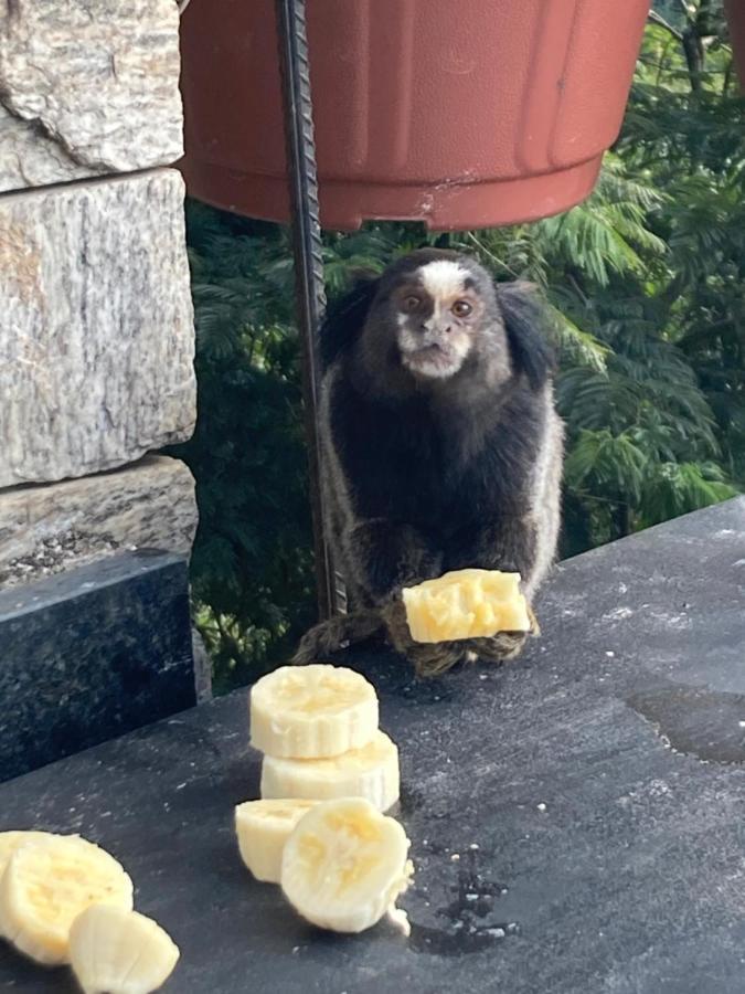 O Chale Mais Bucolico De Araras. Vista Linda Exteriör bild