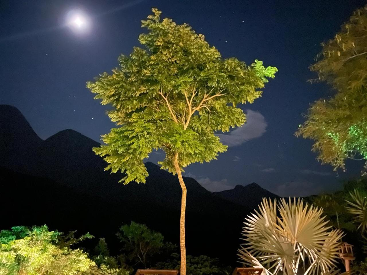 O Chale Mais Bucolico De Araras. Vista Linda Exteriör bild